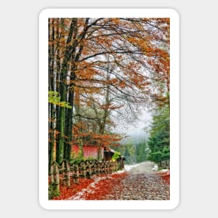 Street of Seasons. Sticker